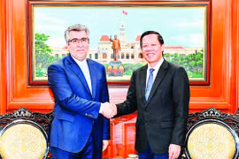 Irán concede importancia a la cooperación con Ciudad Ho Chi Minh 
