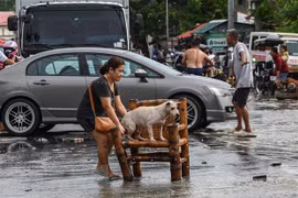  Tifón Noru deja saldo preliminar de cinco muertos en Filipinas