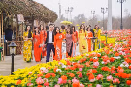 Celebrarán Festival de Flores de Primavera en Ciudad Ho Chi Minh