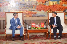 Ciudad vietnamita y Dinamarca impulsan la cooperación energética