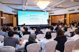 Lanzan en Vietnam proyecto de energía limpia con valor de 36 millones de dólares