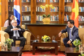 Ciudad vietnamita de Da Nang fomenta vínculos con localidades cubanas