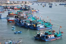 Provincia vietnamita por aumentar capacidad de su flota pesquera