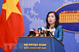 Vietnam por garantizar la seguridad de connacionales en Ucrania