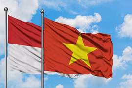 Empresas vietnamitas estudian oportunidades de negocios en Indonesia