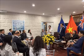 Estimulan aportes de compatriotas en exterior al desarrollo de Vietnam