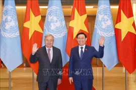 Presidente del Parlamento elogia apoyo efectivo de órganos de ONU a Vietnam