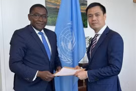 Reitera ONU apoyo a Vietnam en establecimiento de transición energética con G7