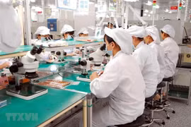 Perspectivas para la recuperación y crecimiento económico de Vietnam