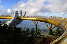 Turismo de Vietnam: Aumentan búsquedas de viajes domésticos