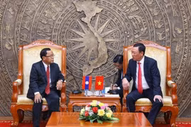 Vietnam y Laos mejoran cooperación en labor de inspección 