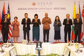 Asiste Vietnam a Reunión de Altos Funcionarios de la ASEAN