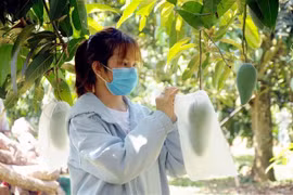 Reino Unido otorga importancia a cooperación agrícola con Vietnam 