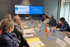 Vietnam fortalece cooperación con principal centro industrial de Francia