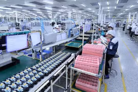 Vietnam: destino cada vez más atractivo para empresas alemanas