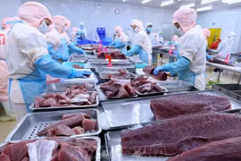 Tratados de libre comercio brindan oportunidades para exportación de atún vietnamita 