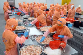Exportaciones vietnamitas muestran buen desempeño en lo que va de año