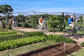 Vietnam promueve tendencias verdes durante Año Nacional de Turismo 2022