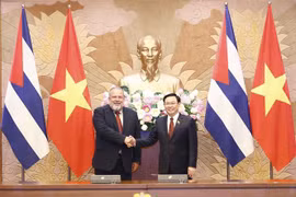 Presidente del Parlamento vietnamita se reúne con primer ministro cubano 