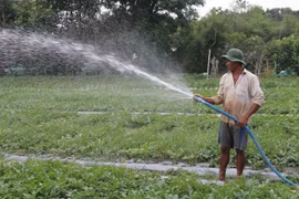 Tra Vinh dedica capital a desarrollar zonas habitadas por la comunidad khmer