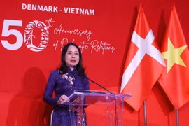 Vietnam y Dinamarca celebran aniversario 50 de relaciones diplomáticas