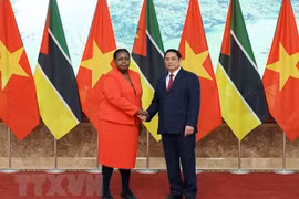 Vietnam otorga gran importancia a promover lazos con Mozambique