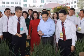 Premier vietnamita pide aplicar ciencia tecnológica e innovación en desarrollo agrícola 