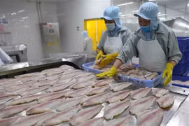 Provincia deltaica apunta a 980 millones de dólares de exportaciones de pescado tra 