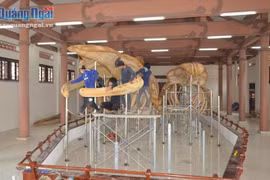 Restauran dos esqueletos de ballena de 300 años en isla vietnamita de Ly Son