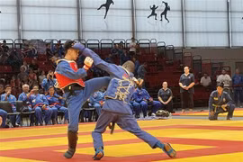 Vietnam gana tres medallas de oro en VI Campeonato Mundial de Vovinam 