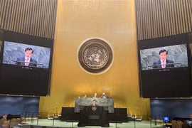 Vietnam participa activamente en actividad de ONU contra cambio climático 