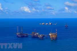 Atracción de inversión extranjera, clave para la modernización de PetroVietnam