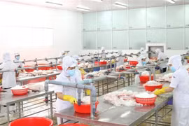Fortalecen conexión entre comunidades empresariales de Vietnam e Italia