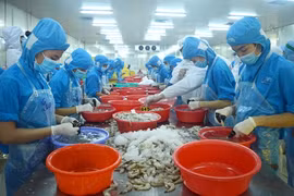 Aumentan exportaciones de provincia vietnamita de Ben Tre en enero y febrero