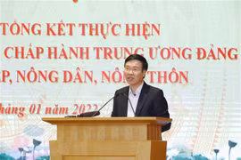 Proponen soluciones para el desarrollo de la agricultura y las zonas rurales en Vietnam