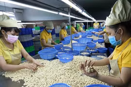 Vietnam alcanza superávit comercial con Camboya 
