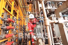 Costos de producción de empresa petrolera vietnamita disminuirán 12% este año