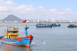 Provincia de Khanh Hoa avanza en la lucha contra pesca ilegal