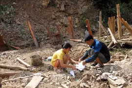 Cruz Roja de Vietnam recauda fondo a favor de pobladores afectados por inundaciones 