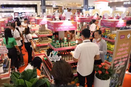 Cientos de productos vietnamitas se venden en supermercados AEON