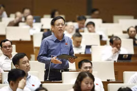 Asamblea Nacional de Vietnam continúa debates sobre proyectos legales