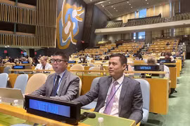 ONU aprueba resolución copresidida por Vietnam sobre la preparación para responder a epidemias