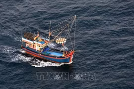Página web tailandesa alaba combate de Vietnam contra la pesca ilegal