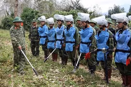 Vietnam comparte en la ONU experiencias para superar secuelas de bombas 
