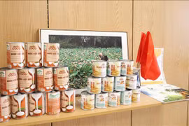 Divulgan productos vietnamitas en Reino Unido 