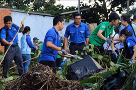 Publican informe especial “Jóvenes para la Acción Climática en Vietnam”