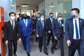 Promueven Vietnam y Sierra Leona cooperación en transformación digital