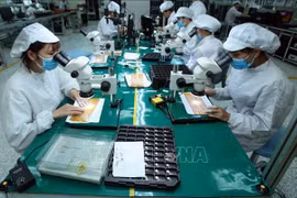 Exportaciones vietnamitas a Hungría poseen aún margen de crecimiento