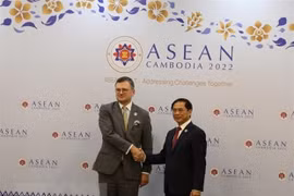 Vietnam felicita a Ucrania por unirse al Tratado de Amistad y Cooperación en el Sudeste Asiático