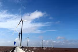 Vietnam solicita apoyo de GWEC para lograr cero emisiones netas